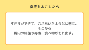 グルテンが腸にとどまり炎症をおこしたらどうなるか。説明スライド