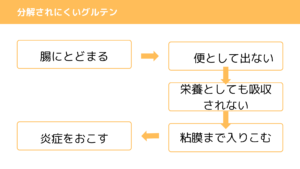 分解されにくいグルテンが、腸で何をしているかの図